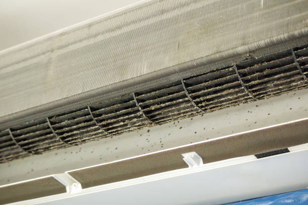 Best Commercial Air Duct Cleaning in Blue Mound, TX